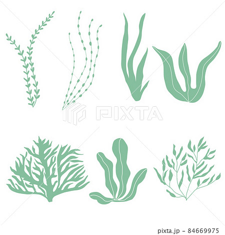 Collection of underwater seaplants and corals, set with marine plants for fabric, textile, wallpaper, nursery decor, prints, childish background. Vector botanical flora 84669975