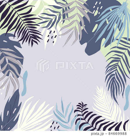 Summer banner with tropical leaves, poster with palm tree, jungle leaf and lettering. Floral tropical background, design template for social media promotional content. Vector illustration 84669988