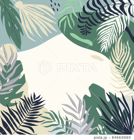 Summer banner with tropical leaves, poster with palm tree, jungle leaf and lettering. Floral tropical background, design template for social media promotional content. Vector illustration Summer banner with tropical leaves, poster with palm tree, jungle leaf and lettering. Floral tropical background, design template for social media promotional content. Vector illustration 84669989