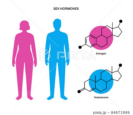 Testosterone estrogen level 84671999