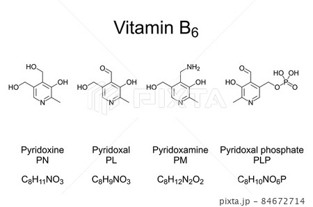 Vitamin B6, chemical formulas and structures. The four most important vitamers of vitamin B6. Pyridoxine, Pyridoxal and Pyridoxamine, and the active form pyridoxal phosphate, serving as a coenzyme. 84672714