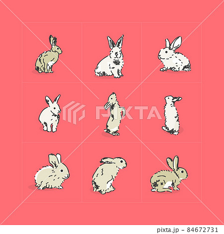 スタイリッシュなウサギのアバター イラストアイコン のイラスト素材 スタイリッシュなウサギのアバター イラストアイコン のイラスト素材