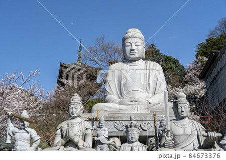 奈良壷坂寺の春 84673376