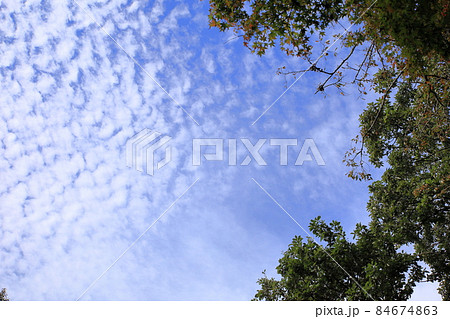 爽やか秋空 84674863