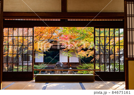 秋の京都　建仁寺　潮音庭 84675161