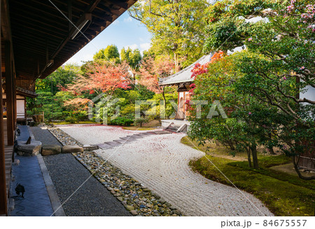 秋の京都　建仁寺　唐子の間 84675557