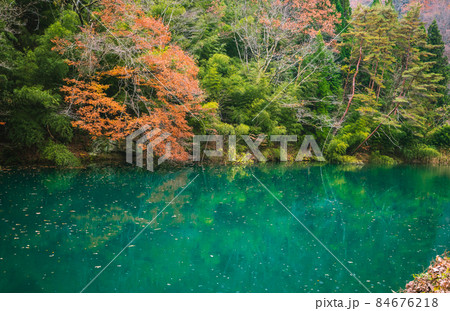 【雨天】晩秋の麻績川【東筑摩郡生坂村】 84676218