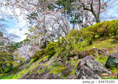 小田原城 滑り落ちた本丸の石垣 小田原城 滑り落ちた本丸の石垣 84676385