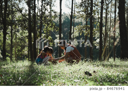 Mother and two daughters collecting firewood and kindling bonfire at camping place in forest. Family and children making campfire on nature woods. Family camping, spending time together on vacation. 84676941