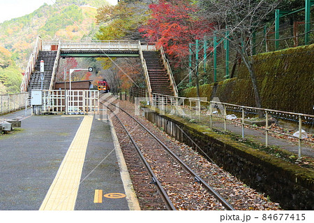 嵯峨野観光鉄道 トロッコ保津峡駅 / 保津川下り 【京都府京都市西京区嵐山】 嵯峨野観光鉄道 トロッコ保津峡駅 / 保津川下り 【京都府京都市西京区嵐山】 84677415