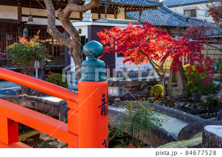 神戸・紅葉の須磨寺の龍華橋 84677528