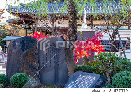 神戸・紅葉の須磨寺 84677539