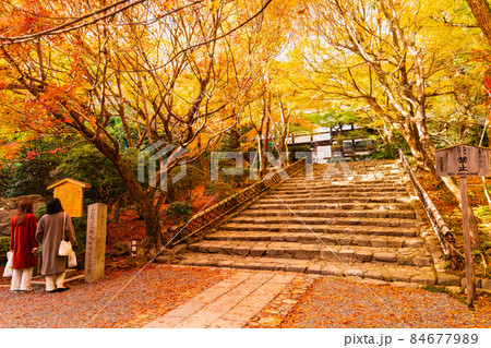 秋の京都 龍安寺 秋の京都 龍安寺 84677989