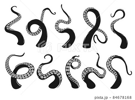 Kraken and octopus tentacle, squid monster tattoo. Sea and ocean underwater creature or marine animal arms and limbs, isolated monochrome vector tentacles with suckers and curved rings Kraken and octopus tentacle, squid monster tattoo. Sea and ocean underwater creature or marine animal arms and limbs, isolated monochrome vector tentacles with suckers and curved rings 84678168