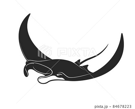 Manta Underwater Animal Giant Devil Ray のイラスト素材