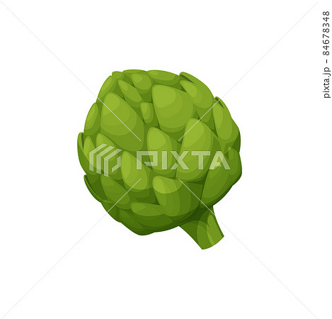 Globe artichoke or green thistle isolated vegetarian food. Vector cynara cardunculus flower bud, healthy veggie greens. Realistic fresh french artichoke head, salad ingredient. Edible globe artichoke Globe artichoke or green thistle isolated vegetarian food. Vector cynara cardunculus flower bud, healthy veggie greens. Realistic fresh french artichoke head, salad ingredient. Edible globe artichoke 84678348