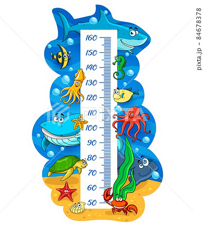 Kids height chart with cartoon sea animals and fish. Vector growth meter ruler or children stadiometer with ocean shark, octopus and whale, crab and fugu fish, squid, seahorse and hammerhead shark 84678378