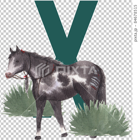 Native American Indian alphabet A-Z watercolor 84678515