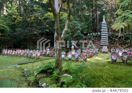 秋の松峯山金剛輪寺散策・103（滋賀県愛知郡：湖東三山） 84679502