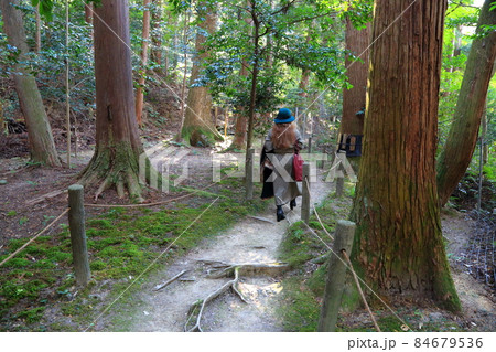 秋の松峯山金剛輪寺散策・129（滋賀県愛知郡：湖東三山） 84679536
