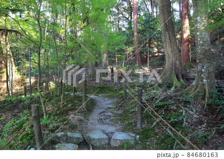 秋の松峯山金剛輪寺散策・138(滋賀県愛知郡:湖東三山) 秋の松峯山金剛輪寺散策・138(滋賀県愛知郡:湖東三山) 84680163