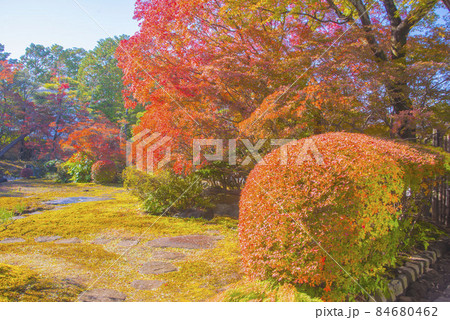 どうだん亭 の紅葉 84680462