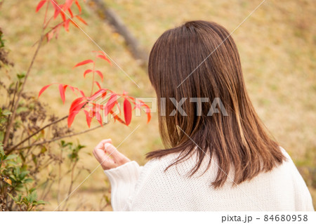 色づいた葉を見つめる女性 色づいた葉を見つめる女性 84680958
