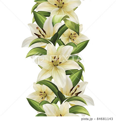 Floral border. White lily flowers seamless - Stock Illustration  [84681143] - PIXTA
