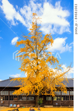 美野分教所 84681663