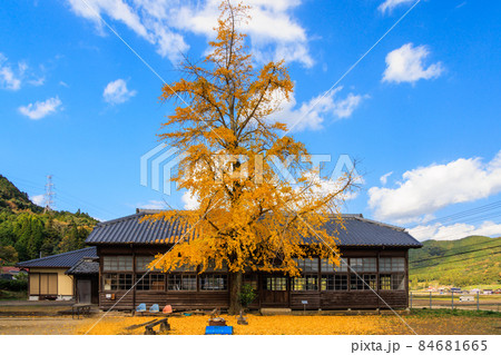 美野分教所 84681665