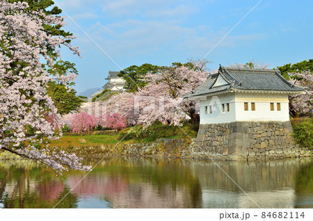 小田原城　二の丸隅櫓　桜満開 84682114