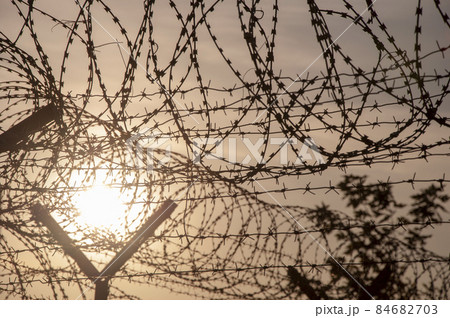 Silhouette of a barbed wire fence steel jail Silhouette of a barbed wire fence steel jail 84682703