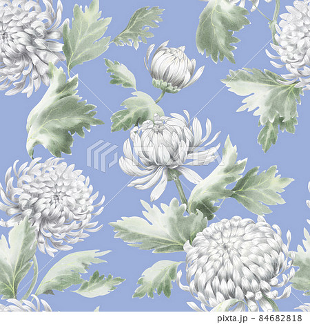 Seamless pattern of chrysanthemum. Blooming flowers with watercolour technique. 84682818