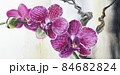 Close-up of pink orchid flowers on a branch 84682824