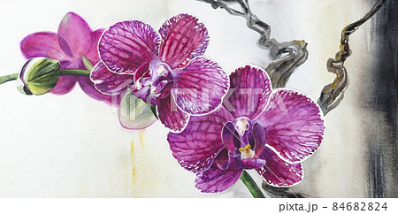 Close-up of pink orchid flowers on a branch 84682824