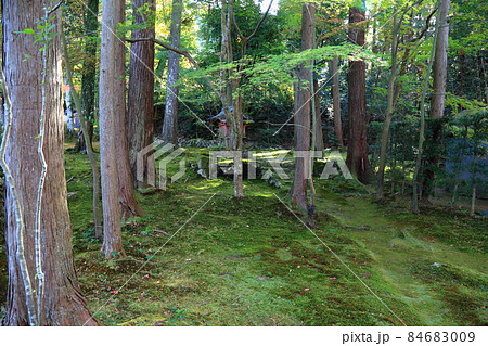 秋の松峯山金剛輪寺散策・186（滋賀県愛知郡：湖東三山） 84683009