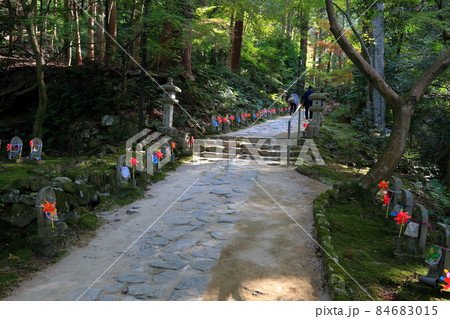 秋の松峯山金剛輪寺散策・192(滋賀県愛知郡:湖東三山) 秋の松峯山金剛輪寺散策・192(滋賀県愛知郡:湖東三山) 84683015