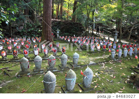 秋の松峯山金剛輪寺散策・204（滋賀県愛知郡：湖東三山） 84683027