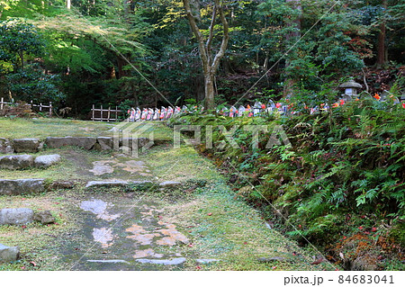 秋の松峯山金剛輪寺散策・217（滋賀県愛知郡：湖東三山） 84683041