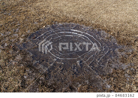 水たまりに張った氷 84683162