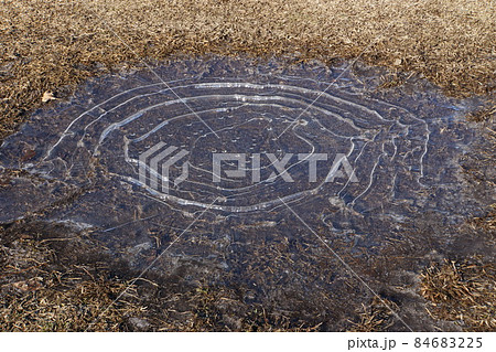 水たまりに張った氷 84683225