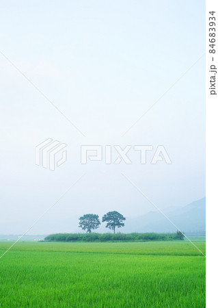 夏 空 農業 84683934