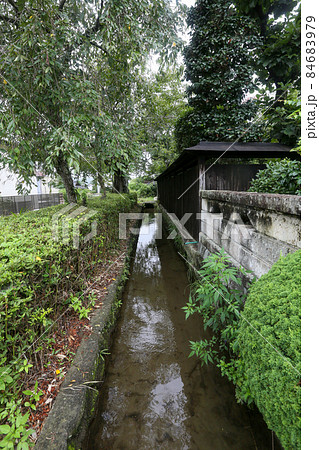 栃木県 さくら市 御用堀 栃木県 さくら市 御用堀 84683979