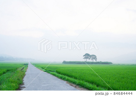 夏 空 農業 84684444