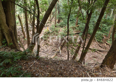 鎌田城跡に残る空堀 84684822