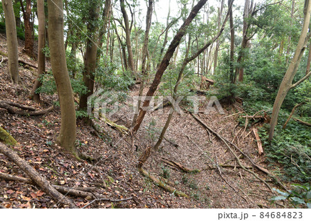 鎌田城跡　空堀 84684823