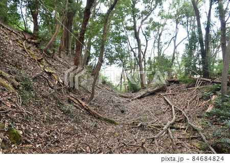鎌田城跡　空堀 84684824