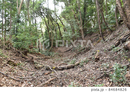 鎌田城跡　空堀 84684826