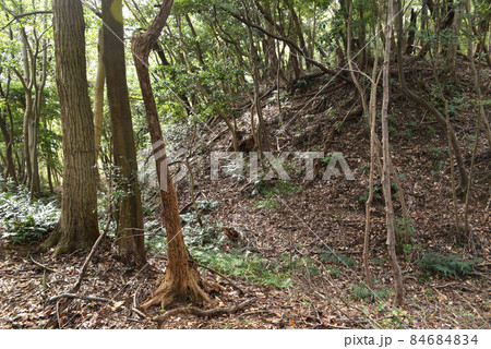 鎌田城跡に残る空堀 鎌田城跡に残る空堀 84684834
