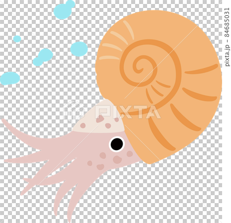 Underwater ammonite 84685031